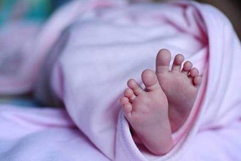 Newborn baby mauled by stray dogs in UP
