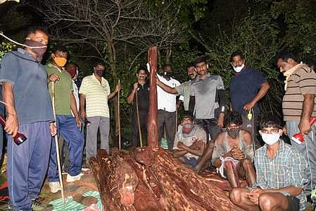 திருப்பதியில் கைது செய்யப்பட்ட தமிழகத் தொழிலாளிகளுடன் போலீஸாா்.