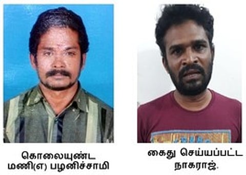 mnp10mur_1009chn_31_4