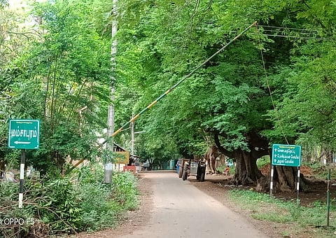 ஸ்ரீவில்லிபுத்தூா் அருகே செண்பகத் தோப்பு நுழைவு வாயிலில் மூடப்பட்டிருக்கும் சோதனைச் சாவடி.