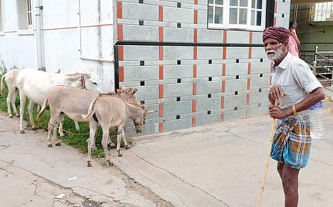 கழுதைகளுடன் ராமசாமி