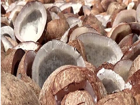 கோப்புப் படம்