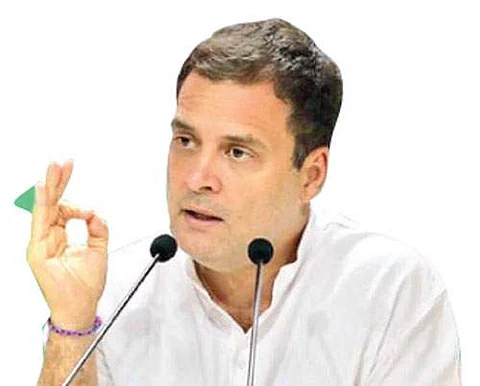 காங்கிரஸ் எம்.பி. ராகுல் காந்தி
