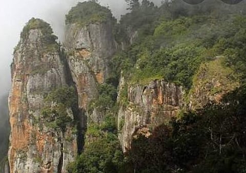 கொடைக்கானல்: வனப் பகுதிகளிலுள்ள சுற்றுலா தலங்களைப் பார்க்க அனுமதி கிடைக்குமா?