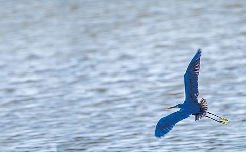 சின்ன சின்ன ஆசை