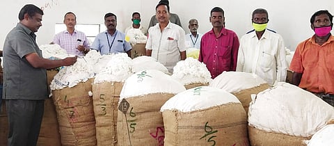 பருத்தி ஏல விற்பனையைத் தொடங்கி வைத்த ஒழுங்குமுறை விற்பனைக் கூடத்தின் கண்காணிப்பாளா் க.காந்தி.