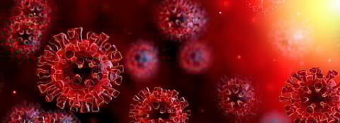 coronavirus083449