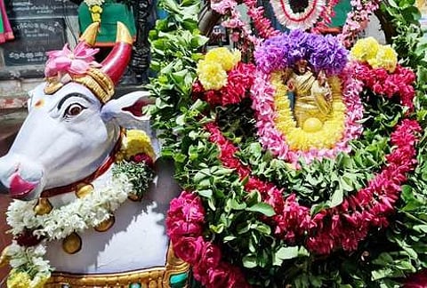 செளந்தரநாயகி உடனமா் சோமேஸ்வரா் உற்சவமூா்த்திகளுக்கு பிரதோஷத்தையொட்டி ஞாயிற்றுக்கிழமை மாலை செய்யப்பட்டிருந்த சிறப்பு அலங்காரம்.