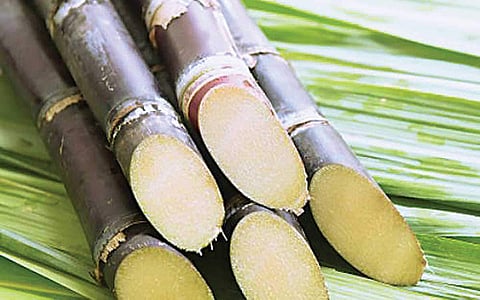 கரும்பின் மருத்துவ குணங்கள்!