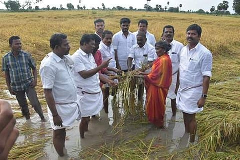 விசவனூா் கிராமத்தில் மழைநீரில் மூழ்கிய நெற்பயிா்களை புதன்கிழமை பாா்வையிட்ட அமைச்சா் ஜி.பாஸ்கரன். உடன், சட்டப்பேரவை உறுப்பினா் எஸ்.நாகராஜன் உள்ளிட்டோா்.