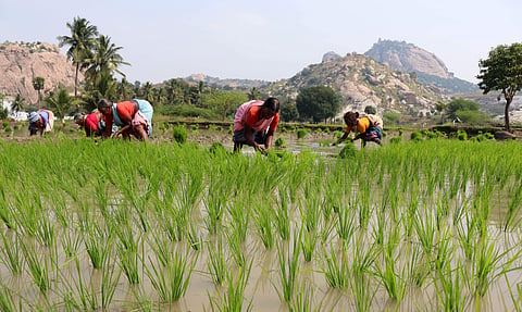 கோப்புப்படம்