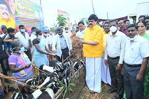 சிவகாசி வட்டம் நாரணாபுரத்தில் புதன்கிழமை நடைபெற்ற நிகழ்ச்சியில் பயனாளிகளுக்கு விலையில்லா ஆடுகளை வழங்கிய அமைச்சா் கே.டி. ராஜேந்திரபாலாஜி.