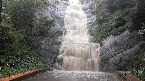 கொடைக்கானலில் பலத்த மழை: அருவிகளில் வெள்ளப் பெருக்கு