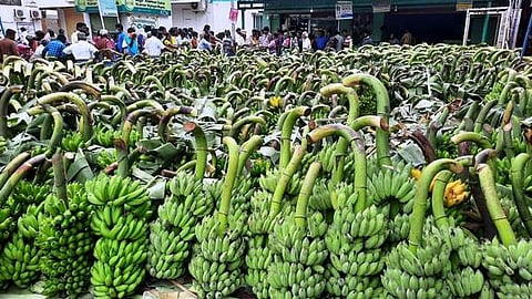 பொங்கல் பண்டிகையையொட்டி செவ்வாய்க்கிழமை வாழப்பாடி தினசரி சந்தையில் விற்பனைக்கு குவிக்கப்பட்ட வாழைத்தாா்கள்.