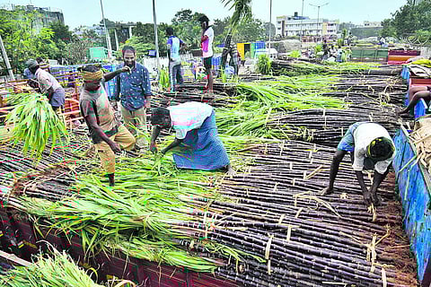 கோயம்பேடு சந்தையில் கரும்பு விற்பனை மந்தம்