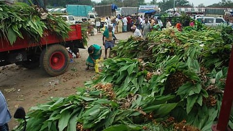 கோப்புப் படம்