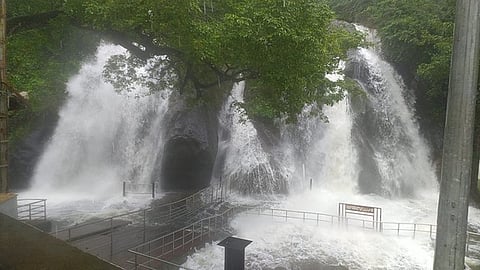 குற்றாலம் அருவிகளில் கடும் வெள்ளப்பெருக்கு