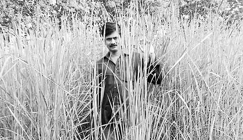 பாரம்பரிய நெல் விவசாயம்... இளைஞர்களுக்கு வாய்ப்பு!