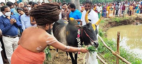 வனதுா்கா தேவி பரமேஸ்வரி கோயிலில் புத்தாண்டையொட்டி, கோபூஜை செய்த தருமபுரம் ஆதீனம் 27-ஆவது குருமகா சந்நிதானம் ஸ்ரீலஸ்ரீ மாசிலாமணி தேசிக ஞானசம்பந்த பராமாசாரிய சுவாமிகள்.
