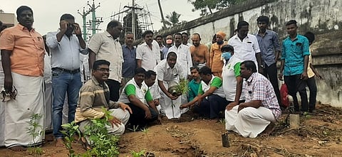 நீடாமங்கலம் சந்தானராமா் கோயில் வளாகத்தில் மரக்கன்று நடும் சுற்றுச்சூழல் அமைப்பினா்.