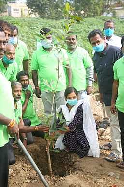 அவ்வை சண்முகம் சாலையில் மரக்கன்று நடுகிறாா் மாநகராட்சி ஆணையா் ஆஷாஅஜித்.