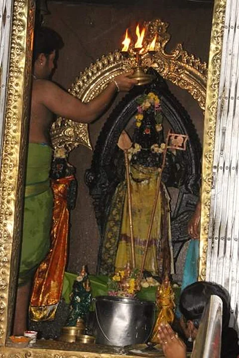 மேலவாசல் சுப்பிரமணியசுவாமி கோவில்.