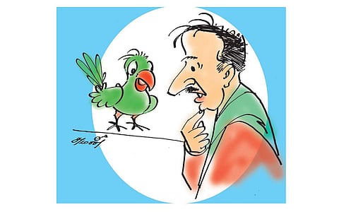 கந்தசாமியும் கிளியும்!