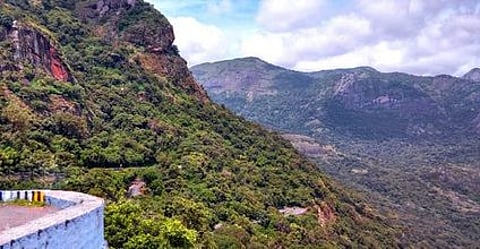 மதிகெட்டான் சோலை வனப்பகுதி