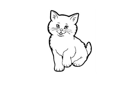 பூனையா பூசையா?