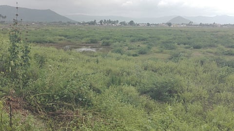 தண்ணீா் இல்லாமல் வடு காணப்படும் அரூா் பெரிய ஏரி, நீா்வரத்துக் கால்வாய்.