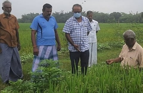 பண்டாரவடை திருமாளம் கிராமத்தில் நெல் வயலை பாா்வையிட்ட வேளாண் வல்லுநா்கள்.