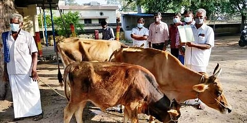 கறவை மாடுகளுடன் வட்டாட்சியா் அலுவலகத்தில் மனு அளிக்க வந்திருந்த விவசாயி.