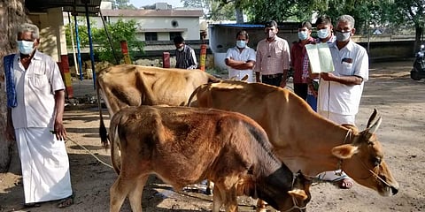 கறவை மாடுகளுடன் வட்டாட்சியர் அலுவலகத்திற்கு மனு அளிக்க வந்த விவசாயி