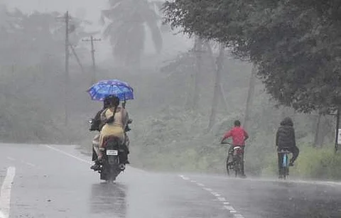 Rain