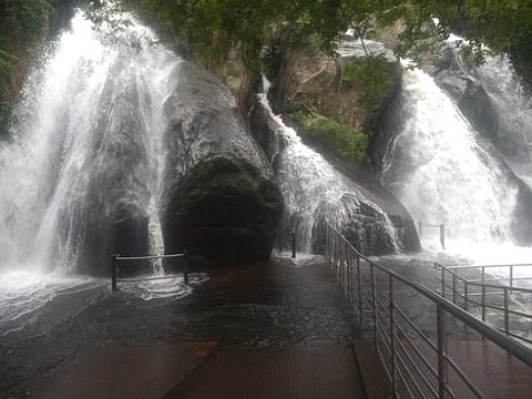 குற்றாலம் அருவிகளில் திடீா் வெள்ளப்பெருக்கு
