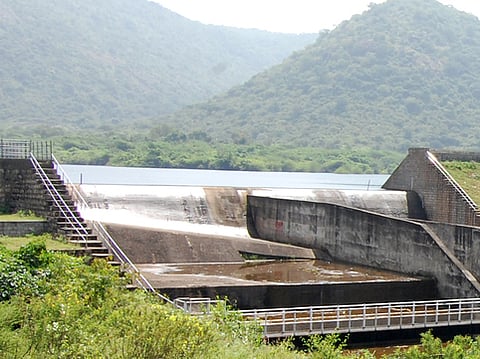 சண்முகாநதி அணை பாசனக் கால்வாயை தூா்வார விவசாயிகள் வலியுறுத்தல்