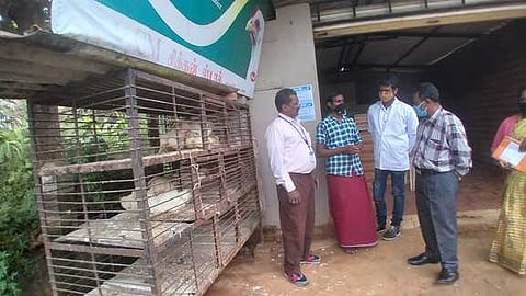 தமிழக - கேரள எல்லையான தாளூரில் கோழிக் கடையில் ஆய்வு செய்த கால்நடை பராமரிப்புத் துறை மண்டல இயக்குநா் பகத் சிங்.