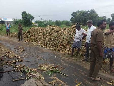 கரும்பு லாரி விபத்துக்குள்ளானதால் சாலையோரம் கொட்டிக்கிடக்கும் கரும்புகள்.