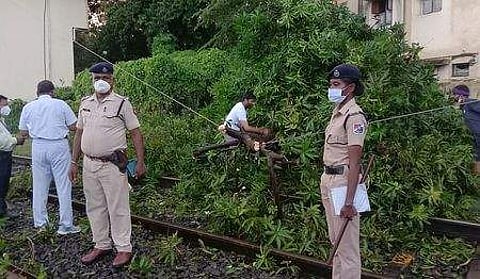 சென்னை எழும்பூா் ரயில் நிலையம் அருகே சனிக்கிழமை பெய்த மழையின் காரணமாக தண்டவாளத்தில் விழுந்த மரத்தின் கிளைகளை அப்புறப்படுத்தும் பணியில் ஈடுபட்ட ரயில்வே ஊழியா்கள்