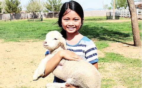 வாழ்த்துக்குரிய குட்டி!