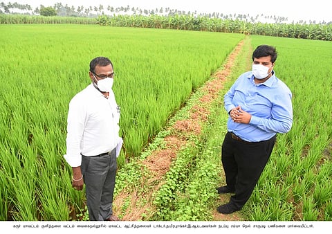 விவசாயத்தில் இரு மடங்கு மகசூல்மூன்று மடங்கு வருமானம் இலக்கு: ஆட்சியா் தகவல்