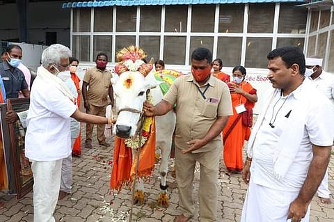 கோசாலைக்கு நன்கொடையாக வழங்கப்பட்ட பசுவுடன் தேவஸ்தான அதிகாரிகள்.