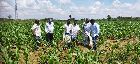 கமுதி அருகே மேலராமநதி கிராமத்தில் வெள்ளிக்கிழமை மக்காச்சோளப் பயிரில் படைப் புழுவை தடுக்க விளக்கம் அளித்த வேளாண்மைத் துறையினா்.