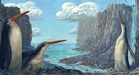 பாலா லீலா!