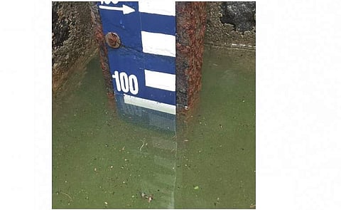 100 அடியை எட்டியது மேட்டூர் அணை நீர்மட்டம்