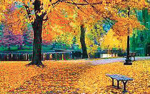 இலையுதிர்காலம்