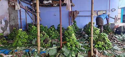 பெரியகுளத்தில் உள்ள கமிஷன் கடையில் விற்பனைக்கு வைக்கப்பட்டுள்ள மலைவாழை தாா்கள்.