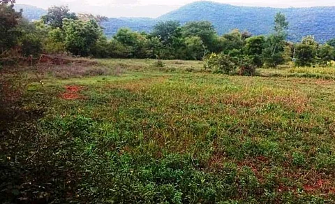 வாழப்பாடி அடுத்த பொன்னாரம்பட்டி பரவக்காடு கிராமத்தில் ஜவுளி பூங்கா அமைப்பதற்கேற்ப பரந்து காணப்படும் 1000 ஏக்கர் அரசு நிலத்தின் ஒரு பகுதி.