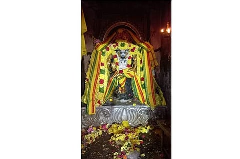 வெள்ளிக்கிழமை மாலை சிறப்பு அலங்காரத்தில் பக்தர்களுக்கு அருள்பாலித்த ஆலங்குடி குருபகவான்.