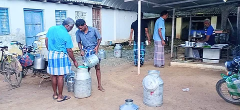 மானாமதுரை கூட்டுறவு சங்கத்தில் உற்பத்தியாளர்களிடமிருந்து பால் கொள்முதல் செய்யப்படுகிறது.